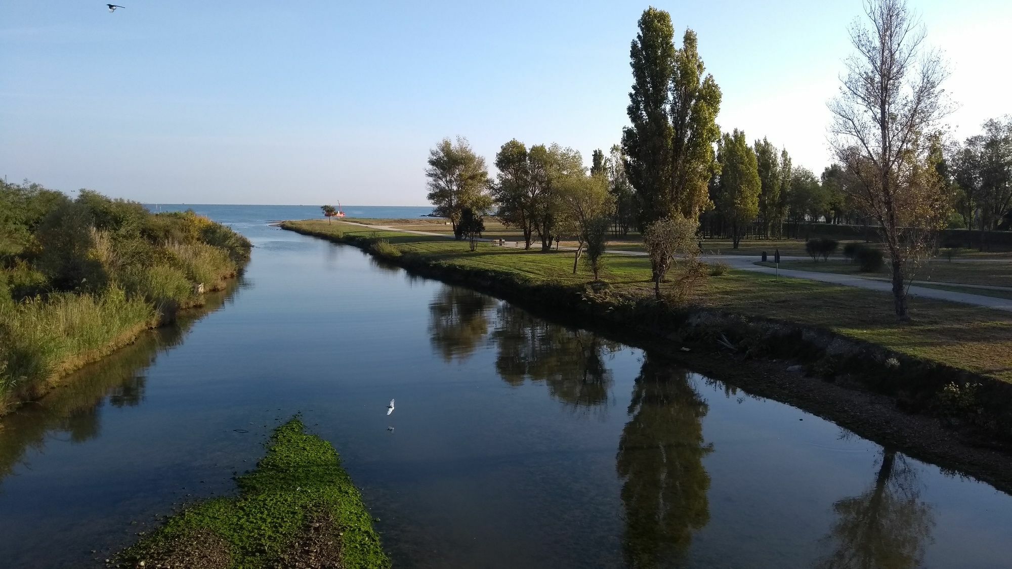 Portoverde Beach Apartments Misano Adriatico Luaran gambar